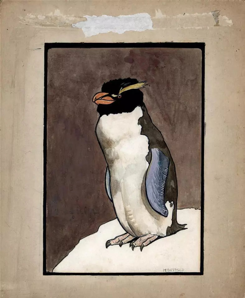 Charles Maurice Detmold (1883-1908) - Watercolour Painting - The Penguin