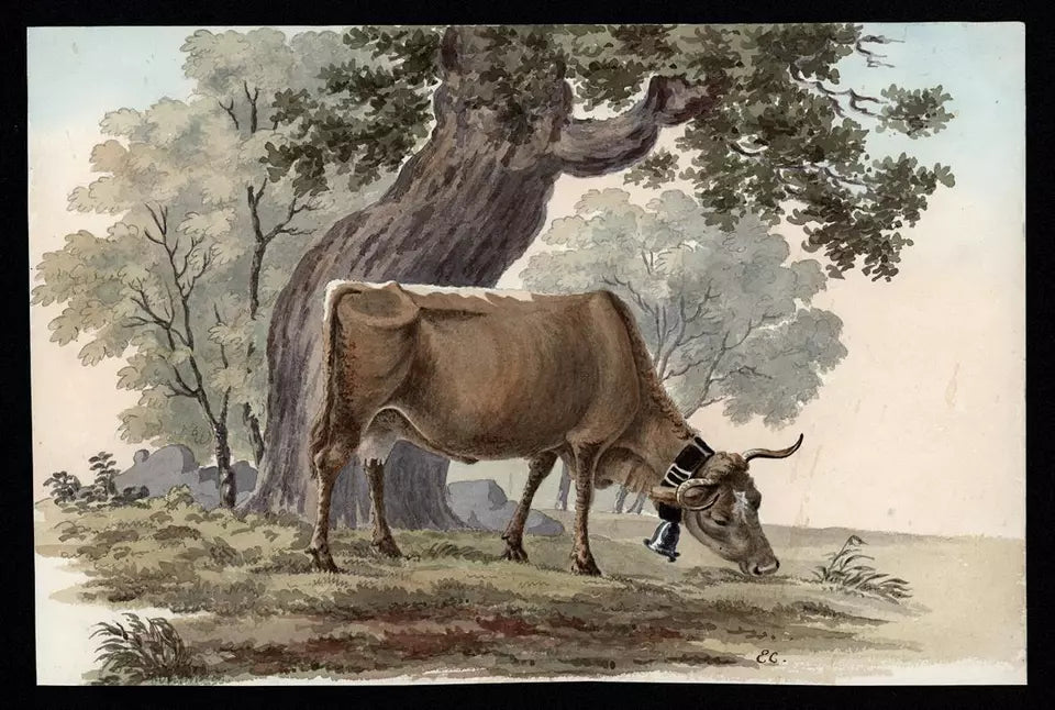 Elizabeth Campbell (1783-1861) Watercolour Painting - Cow With Bell In Landscape