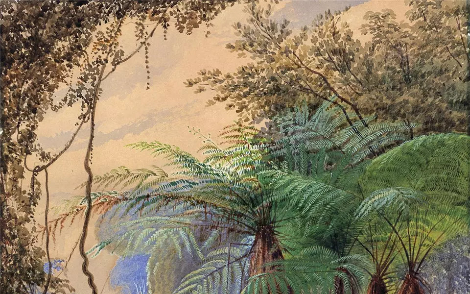 Tropical Forest - Fern Trees - Watercolour Painting - J F Bland - 19th Century