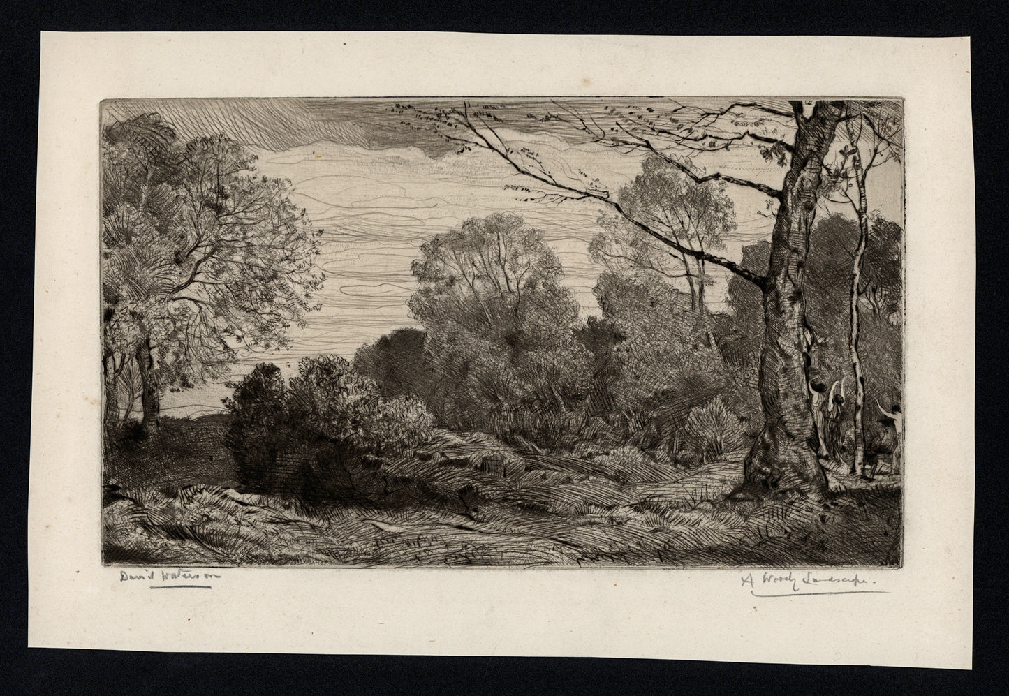 David Waterson (1870-1954) Signed Etching - A Woody Landscape