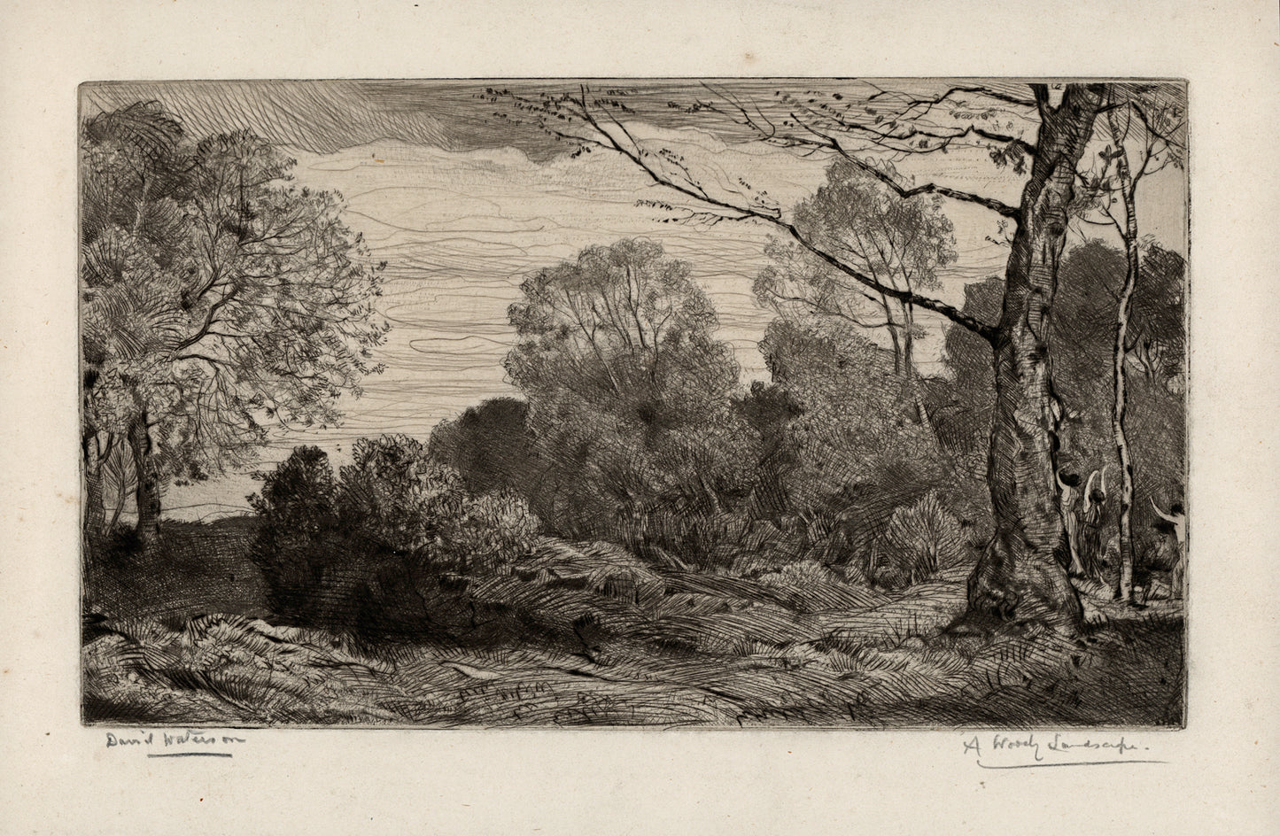 David Waterson (1870-1954) Signed Etching - A Woody Landscape