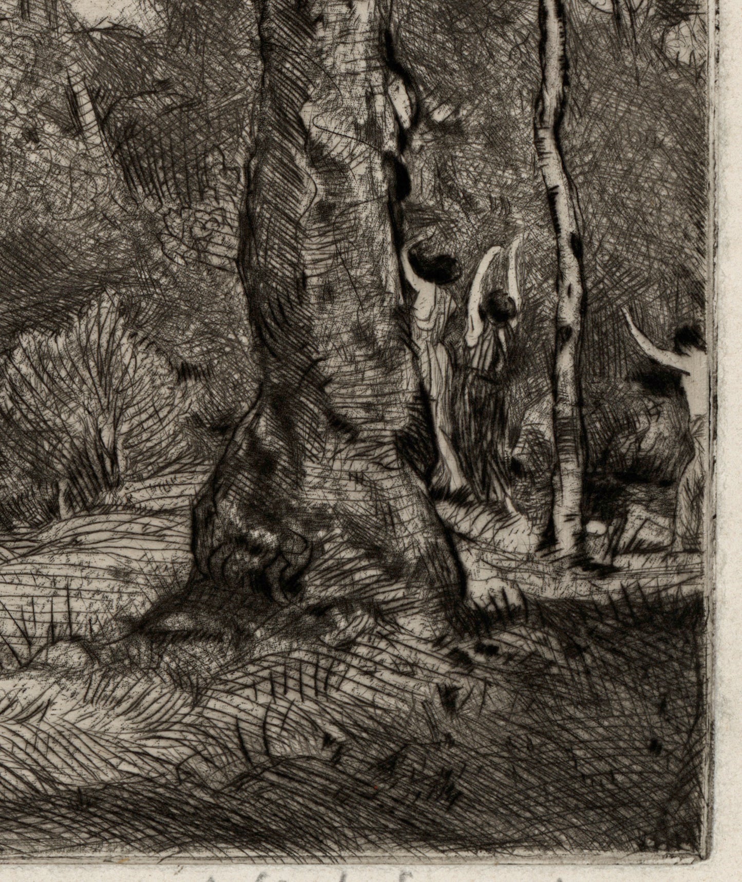 David Waterson (1870-1954) Signed Etching - A Woody Landscape