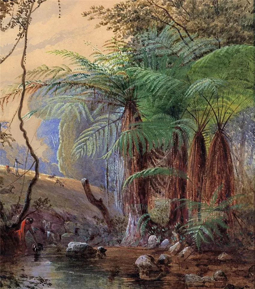 Tropical Forest - Fern Trees - Watercolour Painting - J F Bland - 19th Century