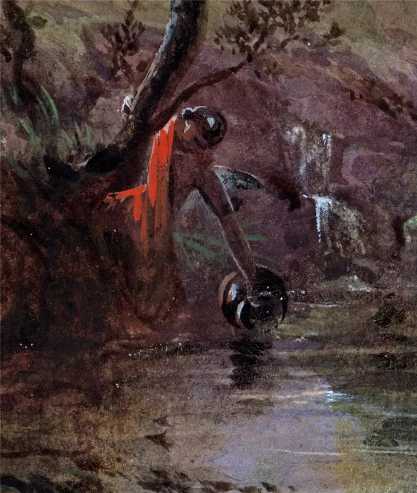 Tropical Forest - Fern Trees - Watercolour Painting - J F Bland - 19th Century