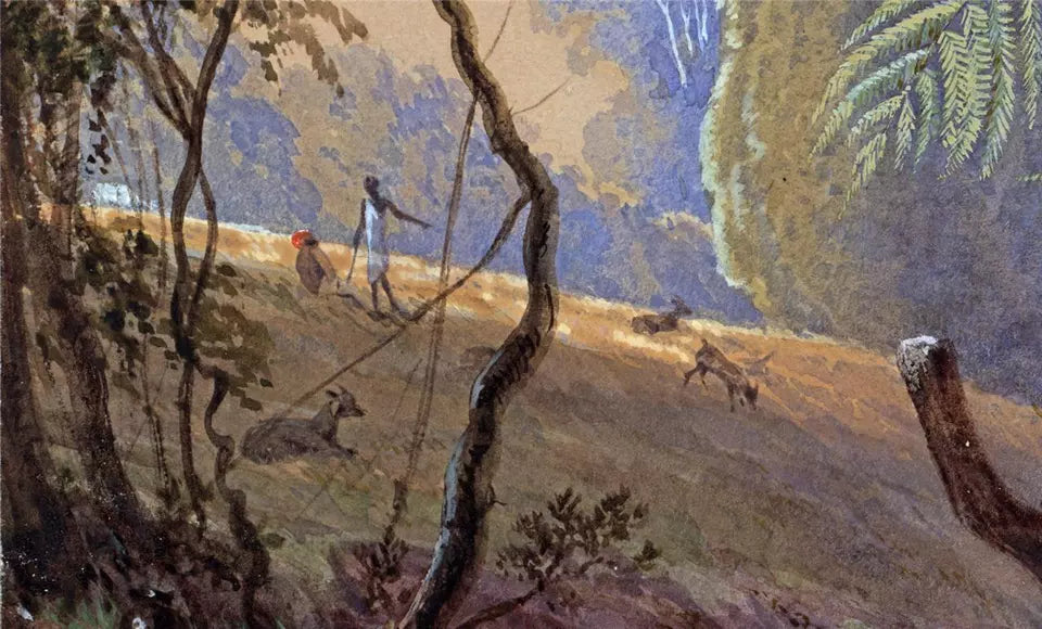 Tropical Forest - Fern Trees - Watercolour Painting - J F Bland - 19th Century