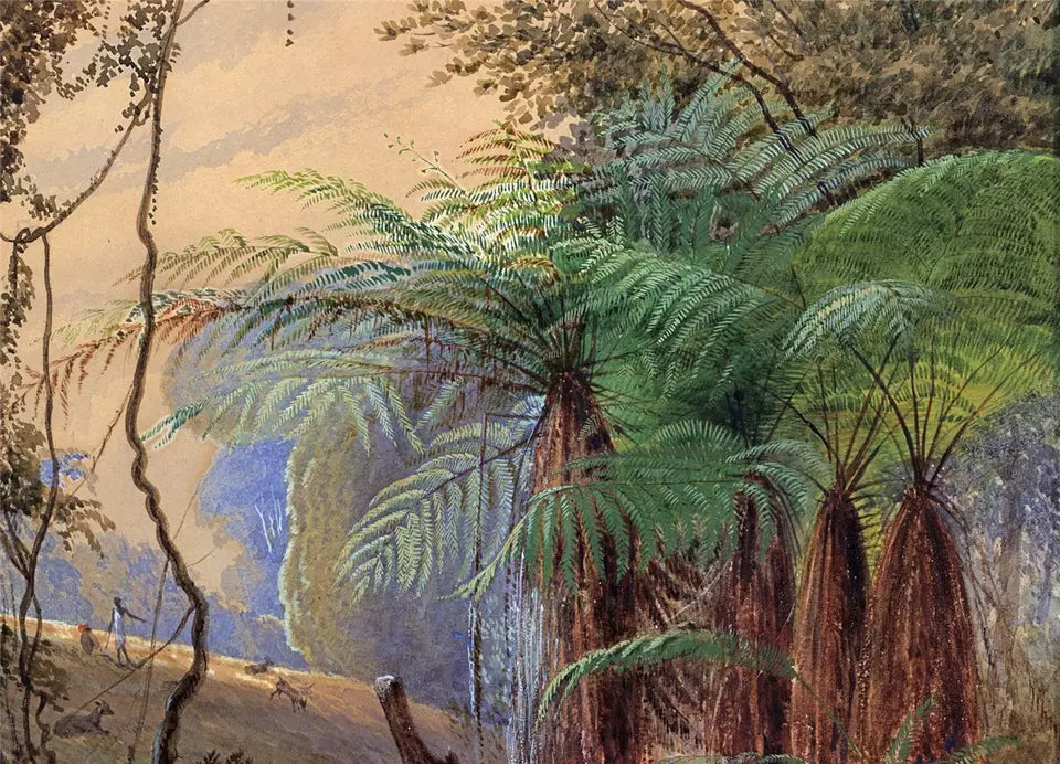 Tropical Forest - Fern Trees - Watercolour Painting - J F Bland - 19th Century