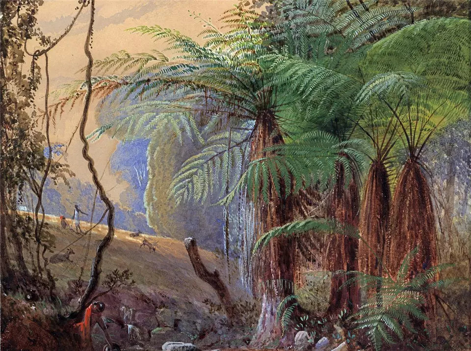 Tropical Forest - Fern Trees - Watercolour Painting - J F Bland - 19th Century