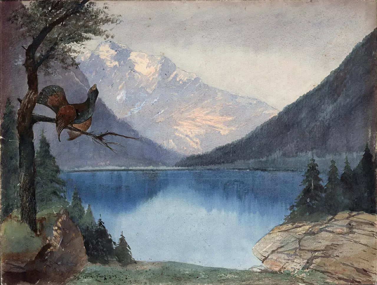 Heinrich Josef Wertheim Watercolour Painting - Grouse In Landscape Germany 1909