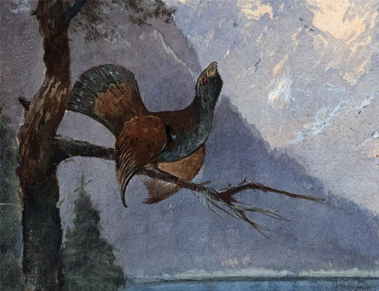 Heinrich Josef Wertheim Watercolour Painting - Grouse In Landscape Germany 1909