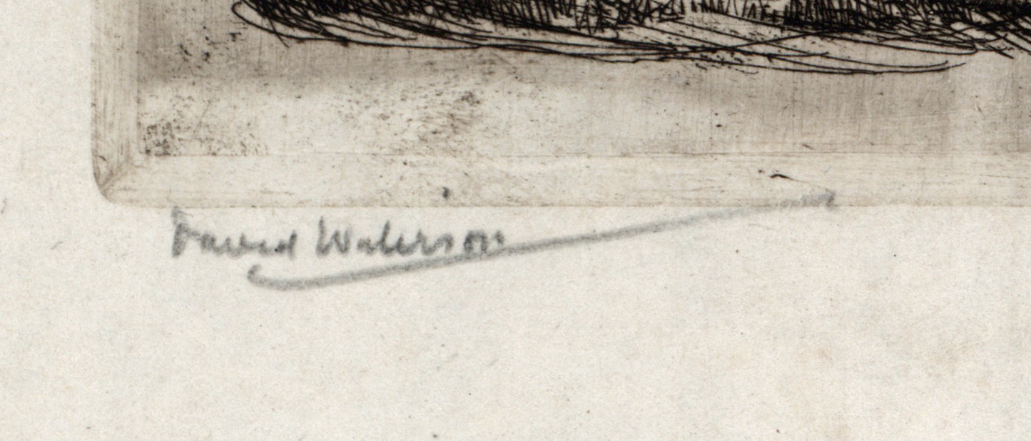 David Waterson (1870-1954) Signed Etching - Pine Trees