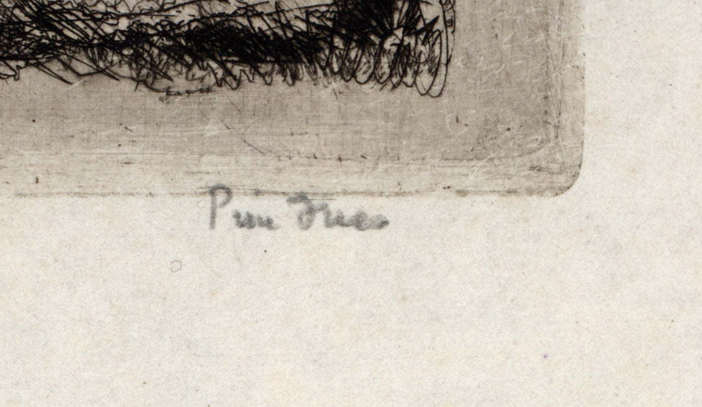 David Waterson (1870-1954) Signed Etching - Pine Trees