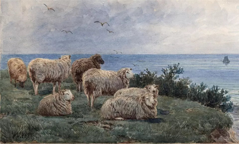 John MacPherson (fl.1858-1891) Watercolour Painting - Sheep In Coastal Landscape