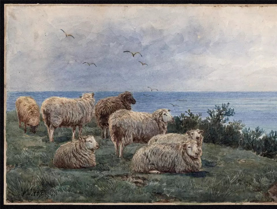 John MacPherson (fl.1858-1891) Watercolour Painting - Sheep In Coastal Landscape