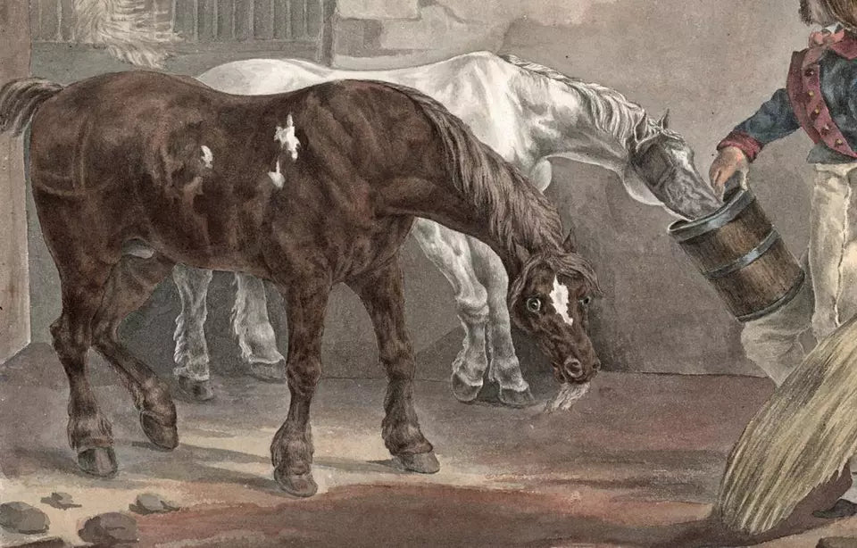 Elizabeth Campbell (1783-1861) Watercolour Painting - 1821