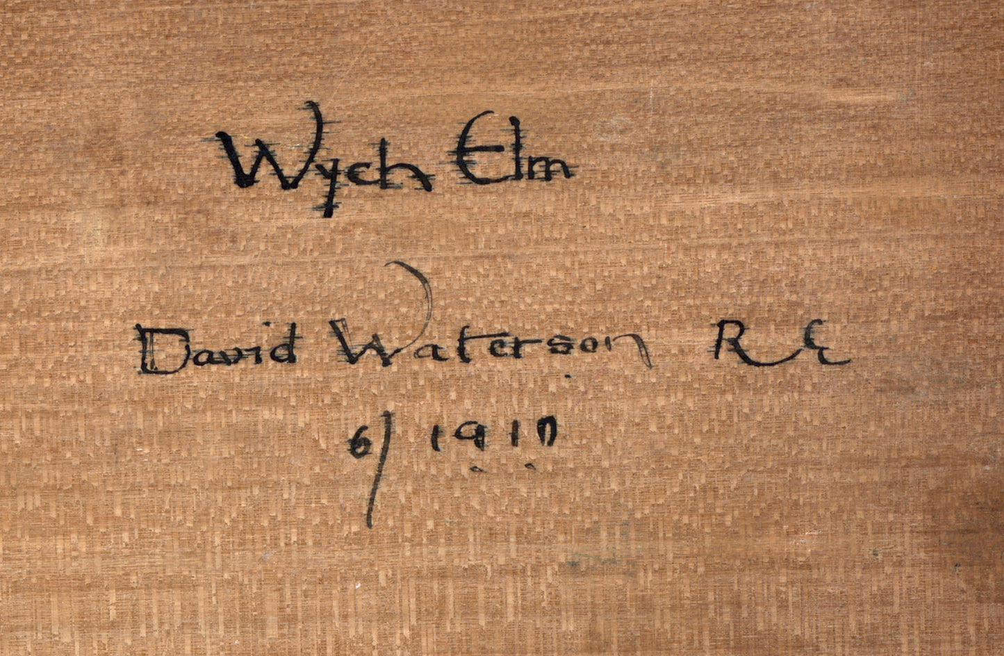 David Waterson (1870-1954) Oil Painting - Wych Elm 1910