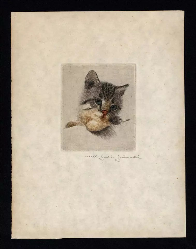 Guido Grunewald (1881-1935) - Pencil Signed Etching - Portrait Of A Kitten / Cat