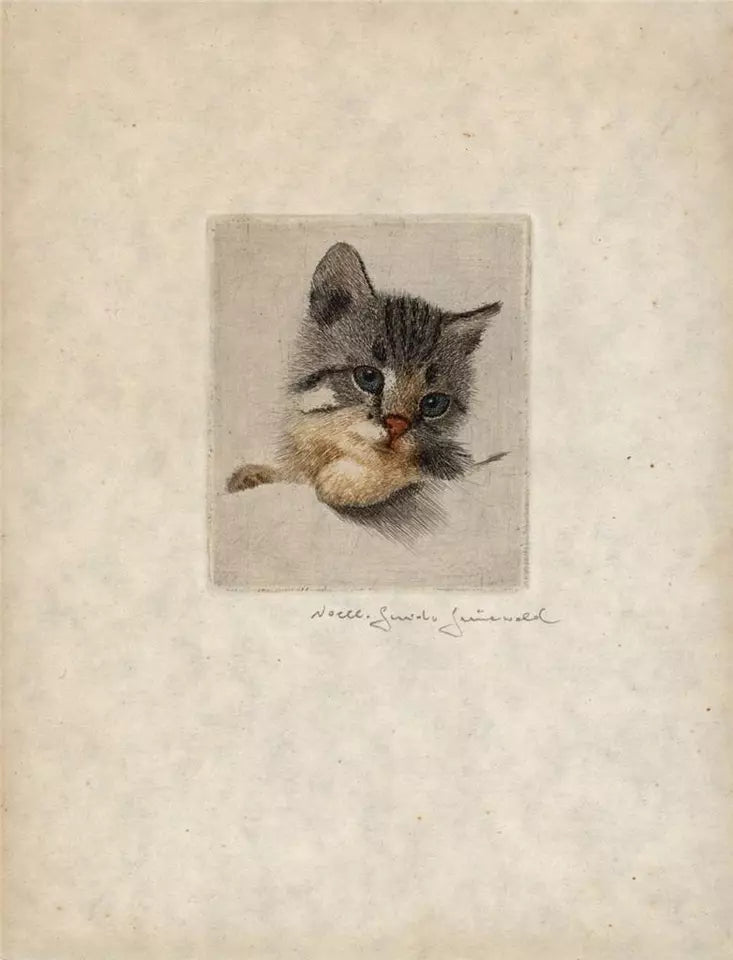 Guido Grunewald (1881-1935) - Pencil Signed Etching - Portrait Of A Kitten / Cat