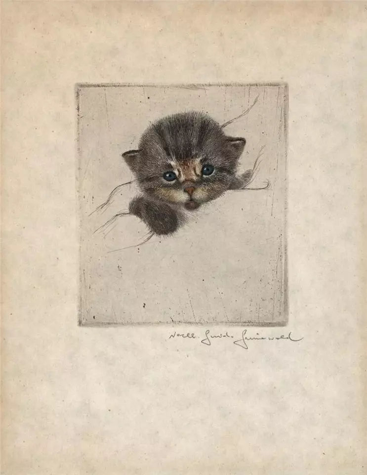 Guido Grunewald (1881-1935) Pencil Signed Etching - Portrait Of A Kitten / Cat