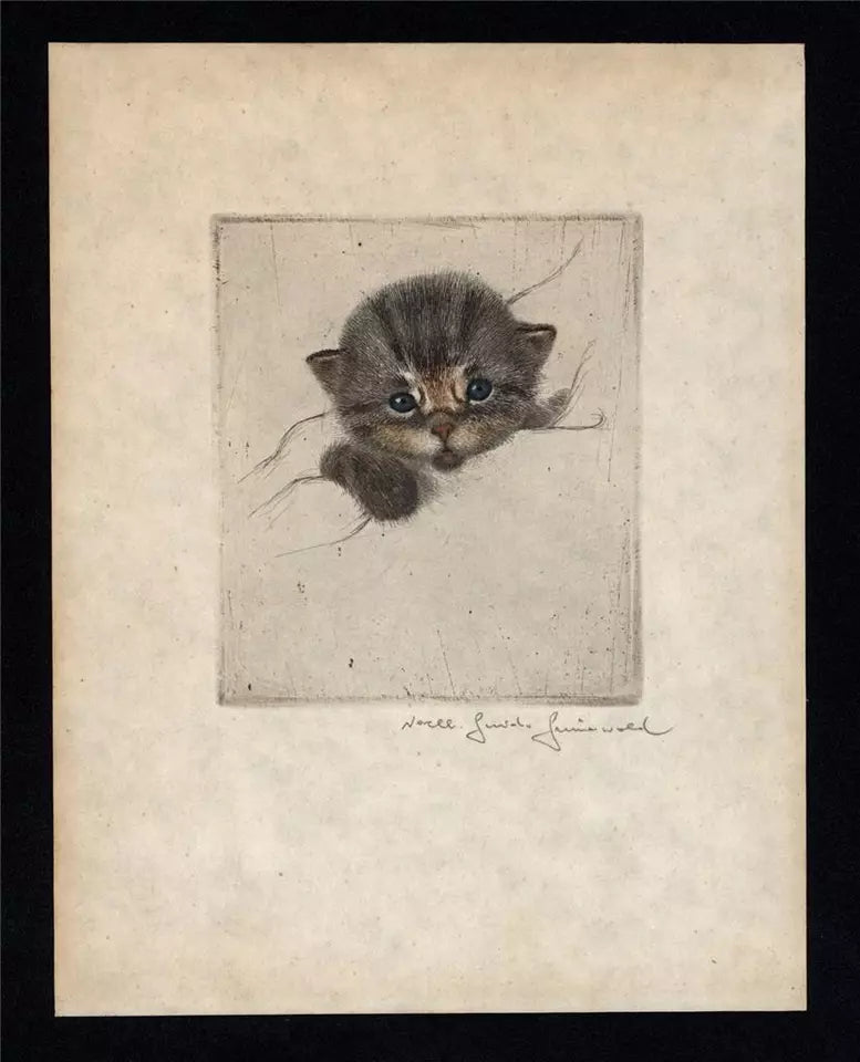 Guido Grunewald (1881-1935) Pencil Signed Etching - Portrait Of A Kitten / Cat
