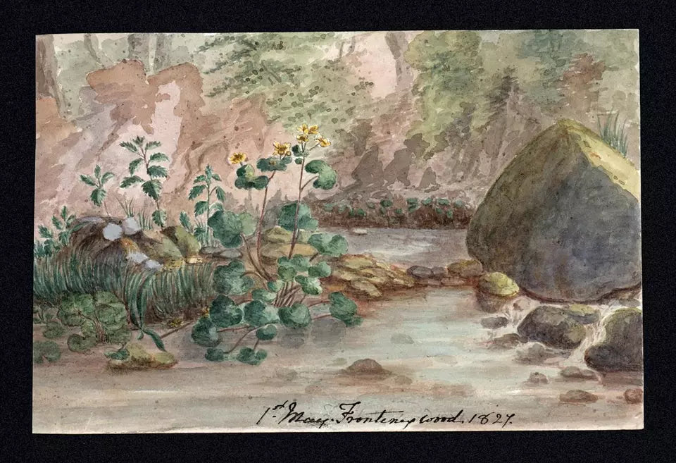 Elizabeth Campbell (1783-1861) Watercolour Painting - Frontenex Wood Geneva Switzerland 1827