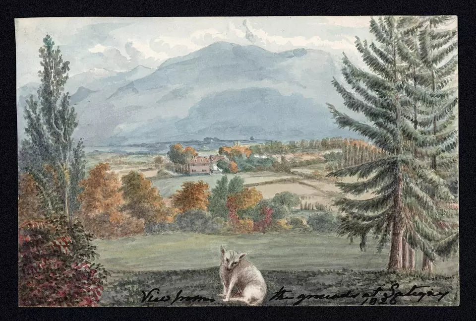Elizabeth Campbell (1783-1861) - Watercolour Painting - View from the grounds at Satigny, Switzerland 1826