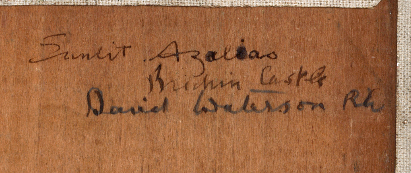 David Waterson (1870-1954) Oil Painting - Sunlit Azaleas Brechin Castle Scotland