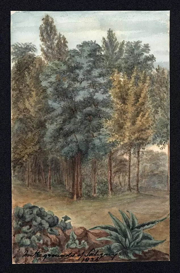 Elizabeth Campbell (1783-1861) Watercolour Painting - Satigny, Switzerland 1826