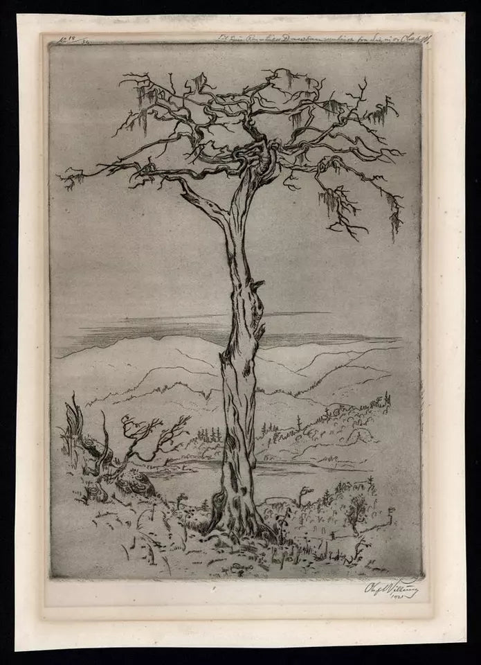 Olaf Abrahamsen Willums (1886-1967) Signed Etching - Tree Study 1921