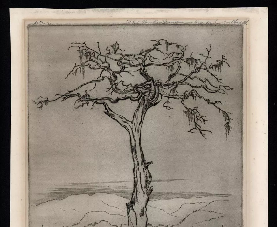 Olaf Abrahamsen Willums (1886-1967) Signed Etching - Tree Study 1921