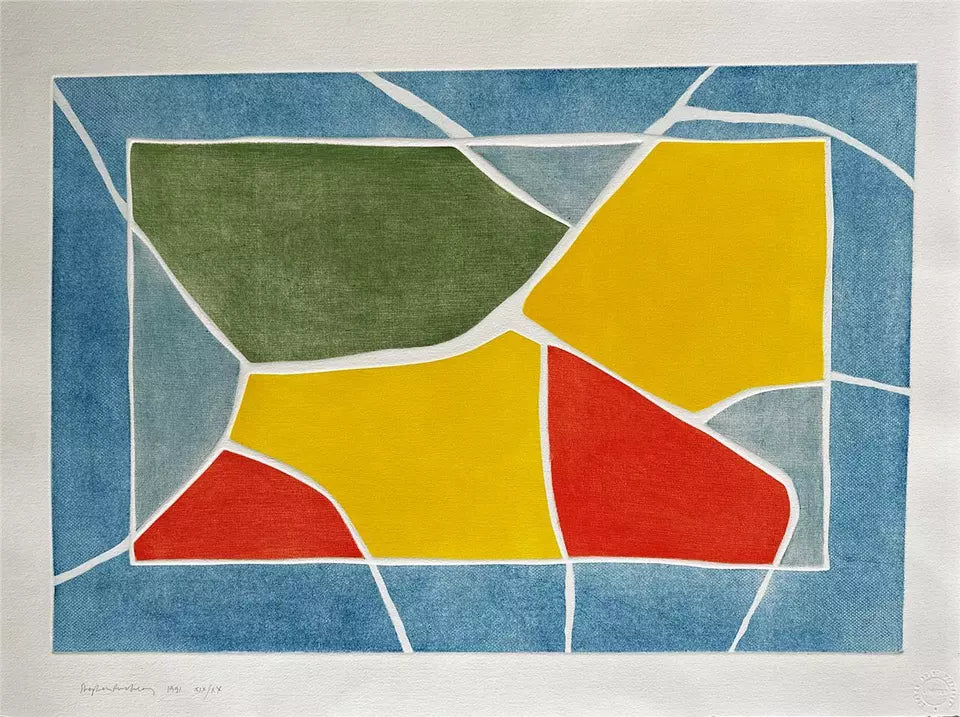 Stephen Buckley - Pencil Signed Aquatint Etching - Crazy Paving 1991 - Abstract