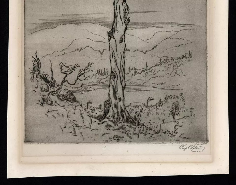 Olaf Abrahamsen Willums (1886-1967) Signed Etching - Tree Study 1921