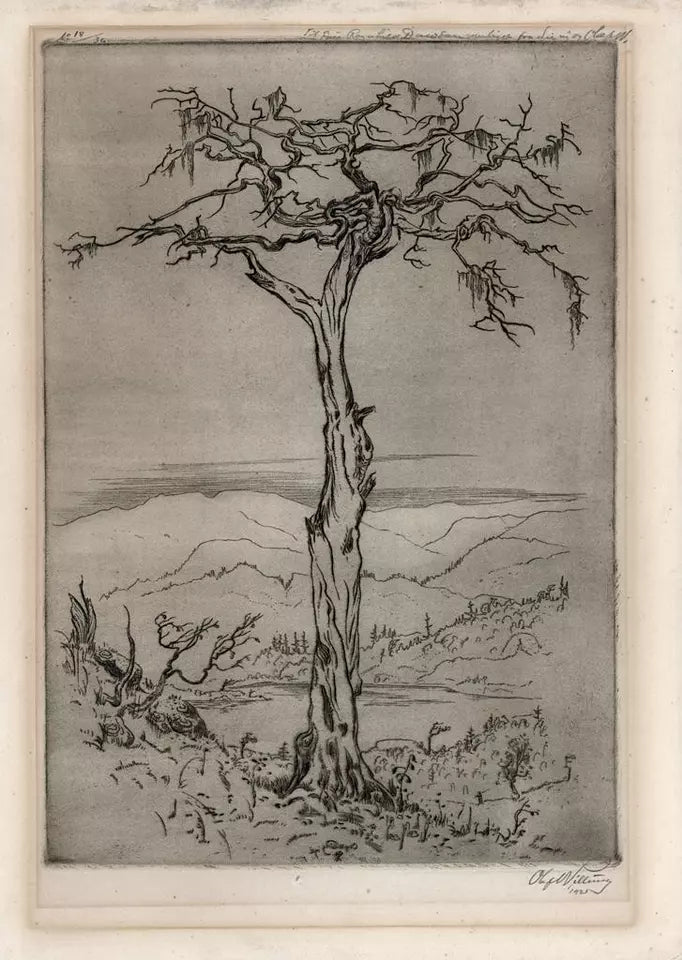 Olaf Abrahamsen Willums (1886-1967) Signed Etching - Tree Study 1921