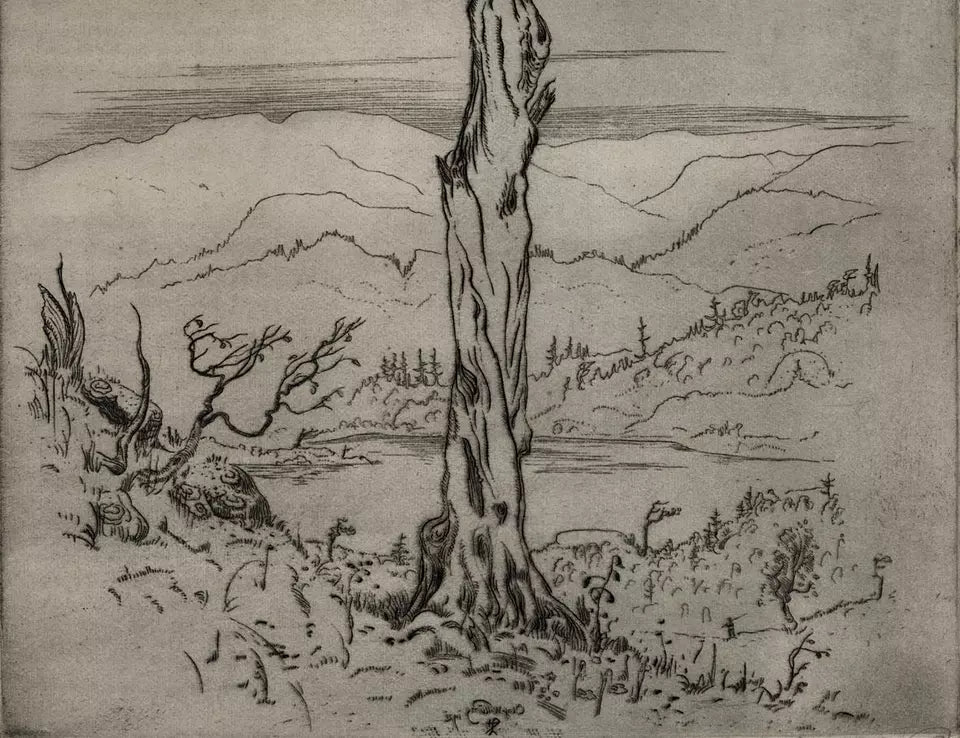 Olaf Abrahamsen Willums (1886-1967) Signed Etching - Tree Study 1921
