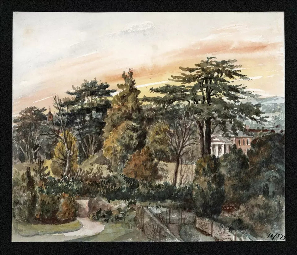 Cedars Leighton 1879 - Watercolour Painting - Algerina Peckover (1841-1927)