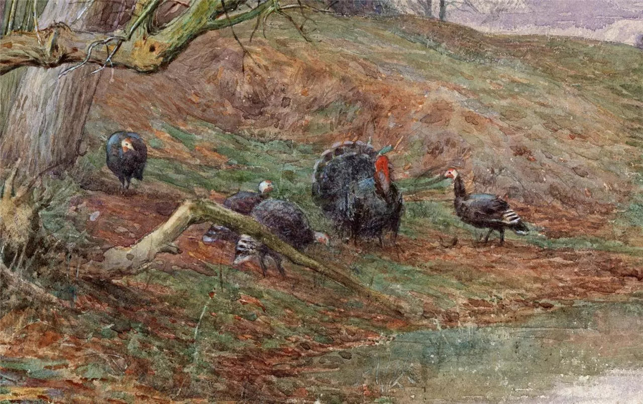 Charles James Adams (1859-1931) Watercolour Painting - Wild Turkeys In Landscape
