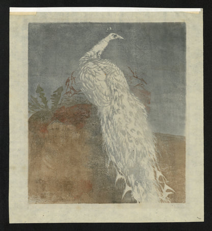 Hans Frank (1884-1948) Pencil Signed Woodcut - White Peacock 1910