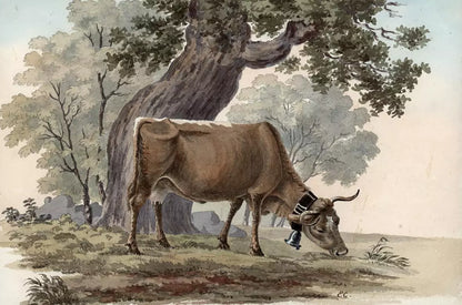 Elizabeth Campbell (1783-1861) Watercolour Painting - Cow With Bell In Landscape
