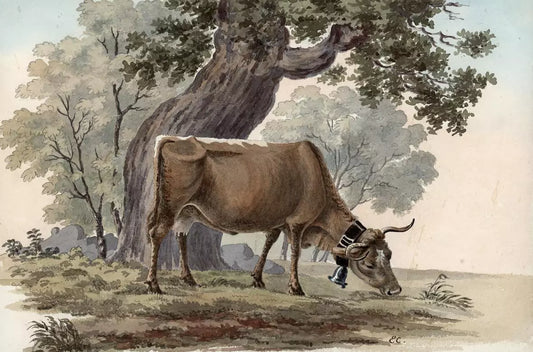 Elizabeth Campbell (1783-1861) Watercolour Painting - Cow With Bell In Landscape