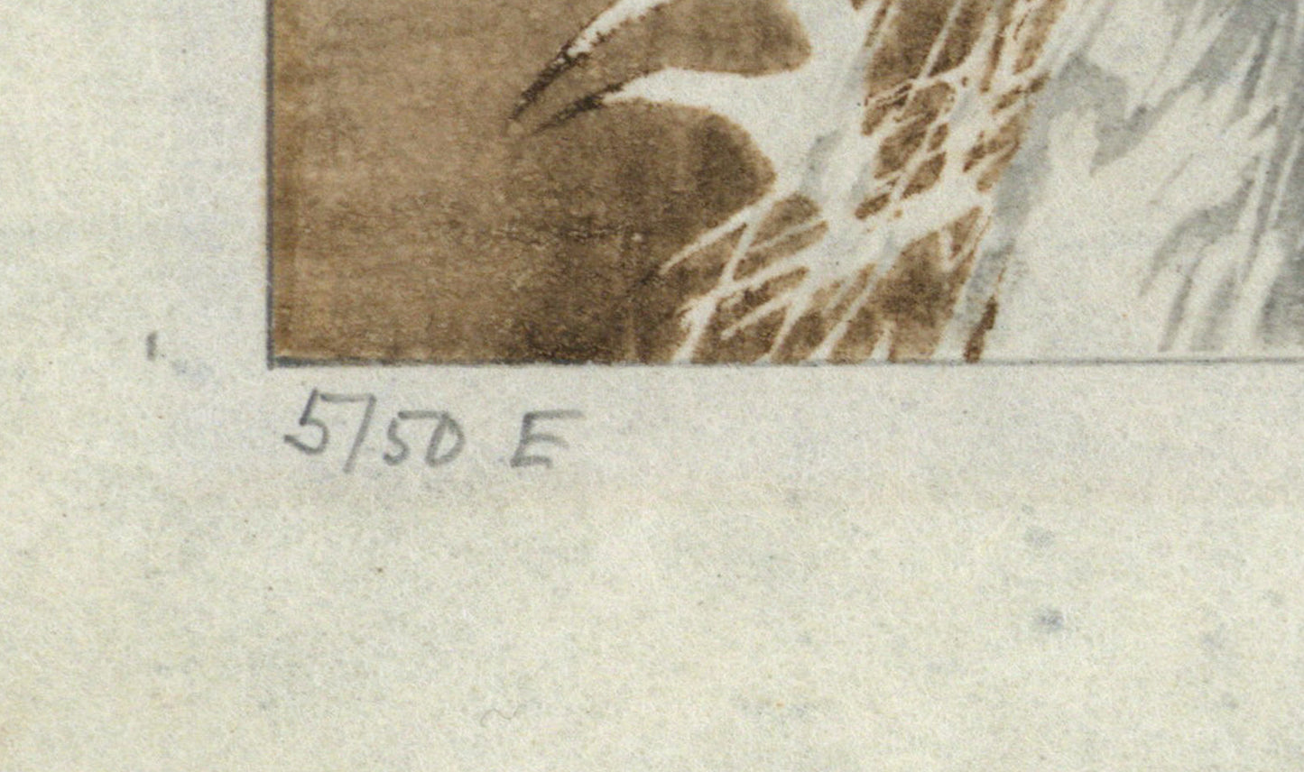 Hans Frank (1884-1948) Pencil Signed Woodcut - White Peacock 1910