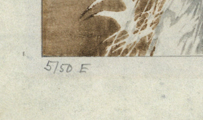 Hans Frank (1884-1948) Pencil Signed Woodcut - White Peacock 1910