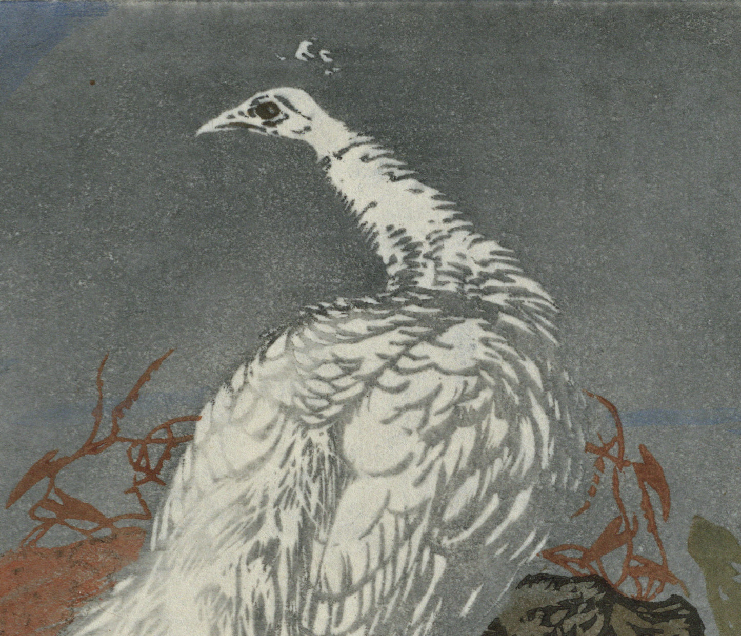 Hans Frank (1884-1948) Pencil Signed Woodcut - White Peacock 1910