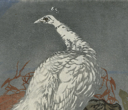 Hans Frank (1884-1948) Pencil Signed Woodcut - White Peacock 1910