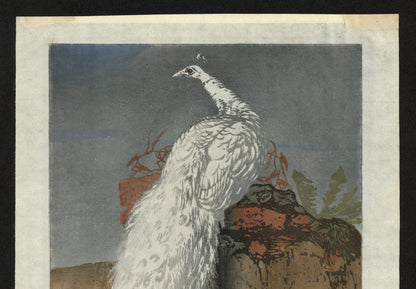 Hans Frank (1884-1948) Pencil Signed Woodcut - White Peacock 1910