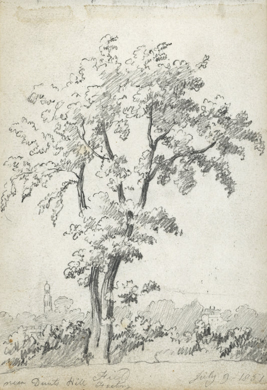 William Hubbard (1804-1870) - Pencil Drawing - Near Dunts Hill Surrey 1851