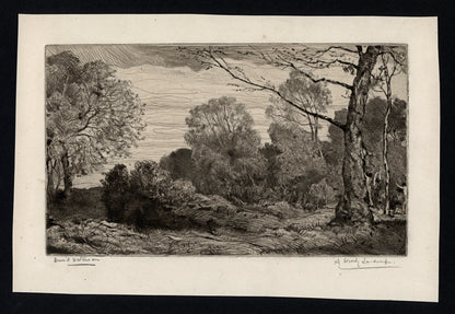 David Waterson (1870-1954) Signed Etching - A Woody Landscape