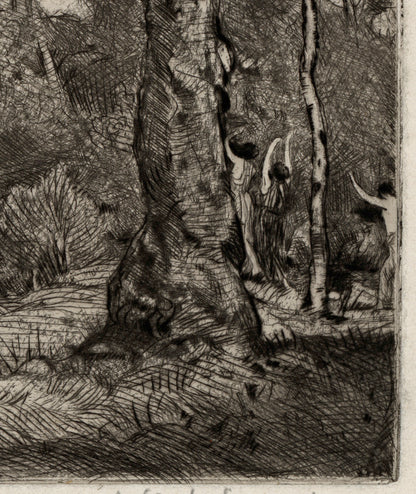 David Waterson (1870-1954) Signed Etching - A Woody Landscape