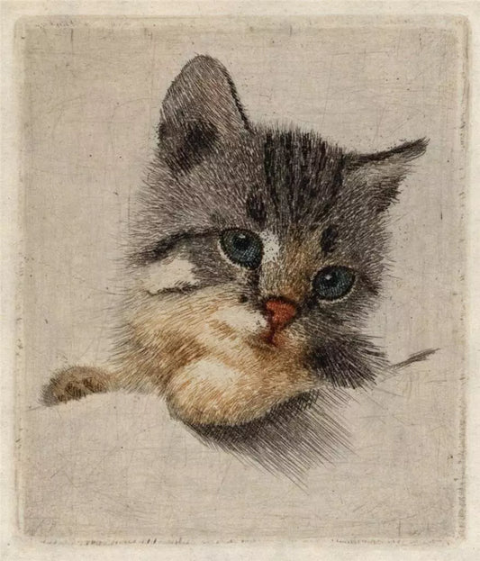 Guido Grunewald (1881-1935) - Pencil Signed Etching - Portrait Of A Kitten / Cat