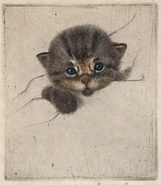Guido Grunewald (1881-1935) Pencil Signed Etching - Portrait Of A Kitten / Cat