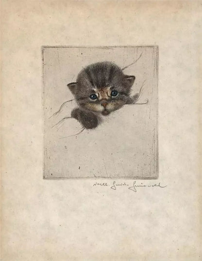Guido Grunewald (1881-1935) Pencil Signed Etching - Portrait Of A Kitten / Cat