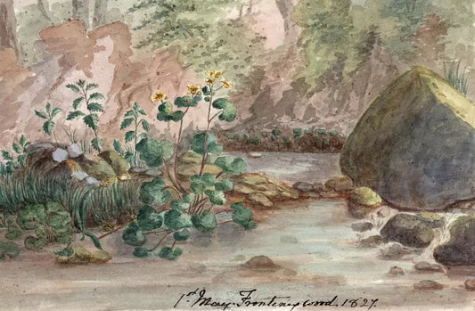 Elizabeth Campbell (1783-1861) Watercolour Painting - Frontenex Wood Geneva Switzerland 1827